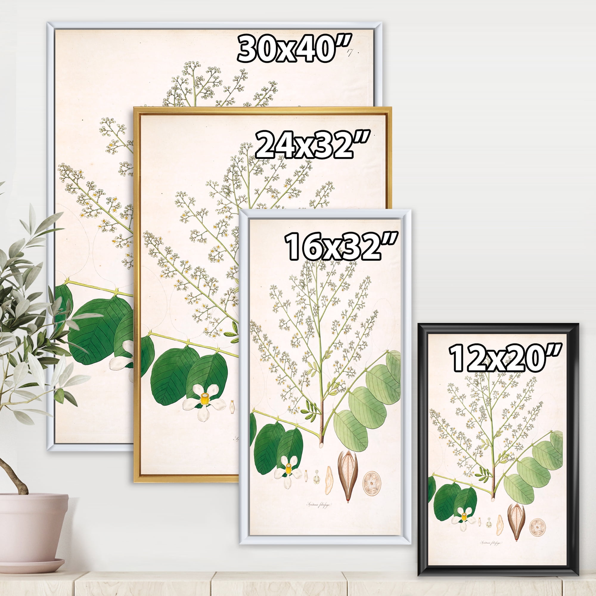 Ancient Botanicals XVI 16 in x 32 in Framed Painting Canvas Art Print, by Designart