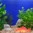 thumbnail image 4 of 2pcs Simulation Fish Model PU Fish Model Simulation Animal Educational Model Artificial Fish Model, 4 of 9