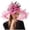 Hot Pink, variant on Tea Party Hats Easter Women Fascinator Hat Floral Tea Party Wedding Hat