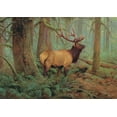 thumbnail image 5 of Buffalo Games Bonjour Forest King 500-Piece 21.25 x 15-inch Interlocking Jigsaw Puzzle for Adults Ages 14+, 5 of 5