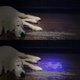 thumbnail image 3 of UV Flashlight with 51 LEDs, Pet Urine Detector for Dog & Cat, 3 of 5