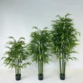 thumbnail image 5 of 60 inches Artificial Bamboo Tree in Black Nursery Pot, 5 of 5