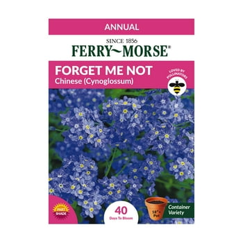 Ferry-Morse 120MG Forget Me Not Chinese Annual (Cynoglossum) Flower  Packet