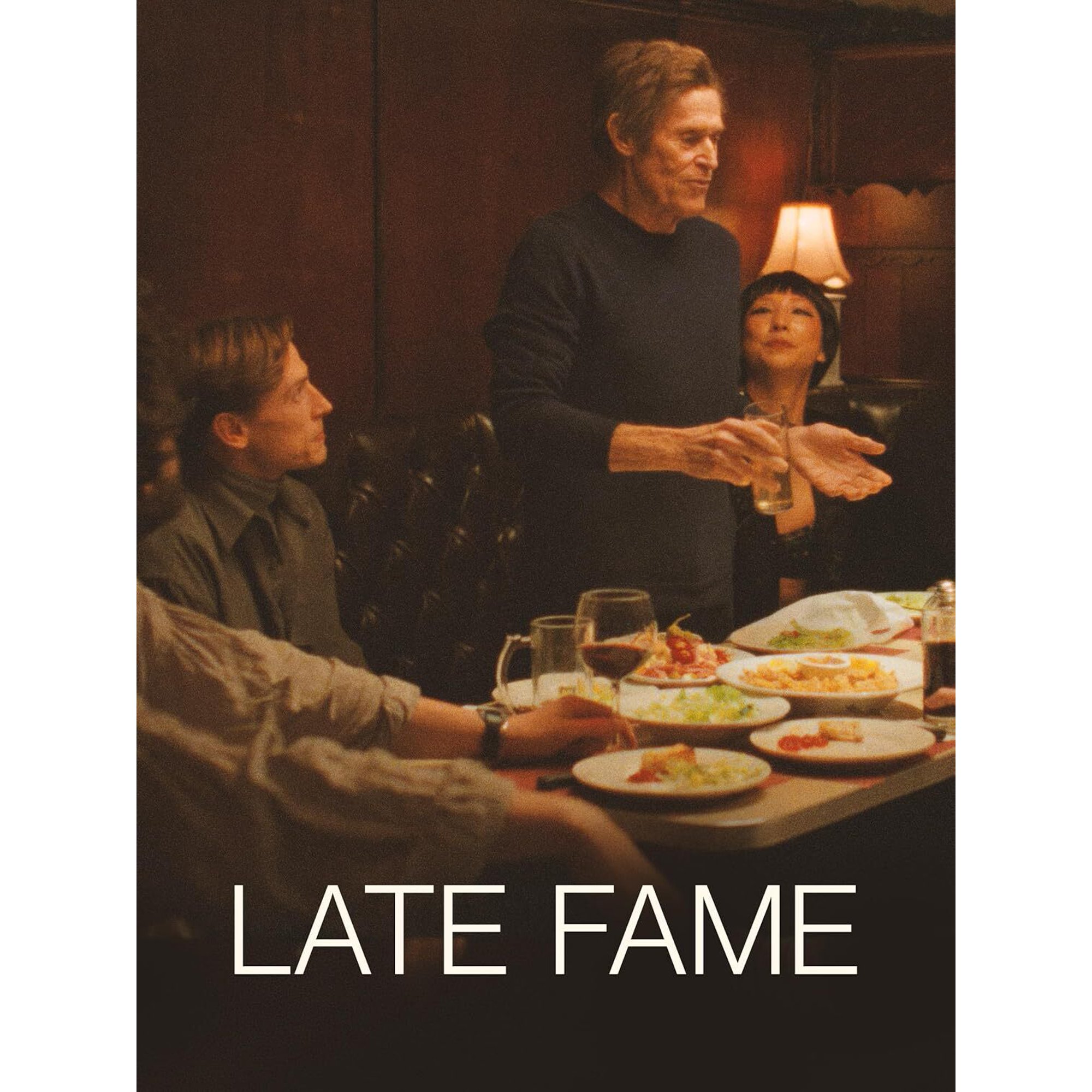 Magnolia Home Ent - Late Fame [DIGITAL VIDEO DISC]