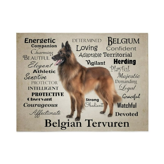 CafePress - Belgian Tervuren Traits - Large Plush Fleece Throw Blanket, 80" L x 60" W