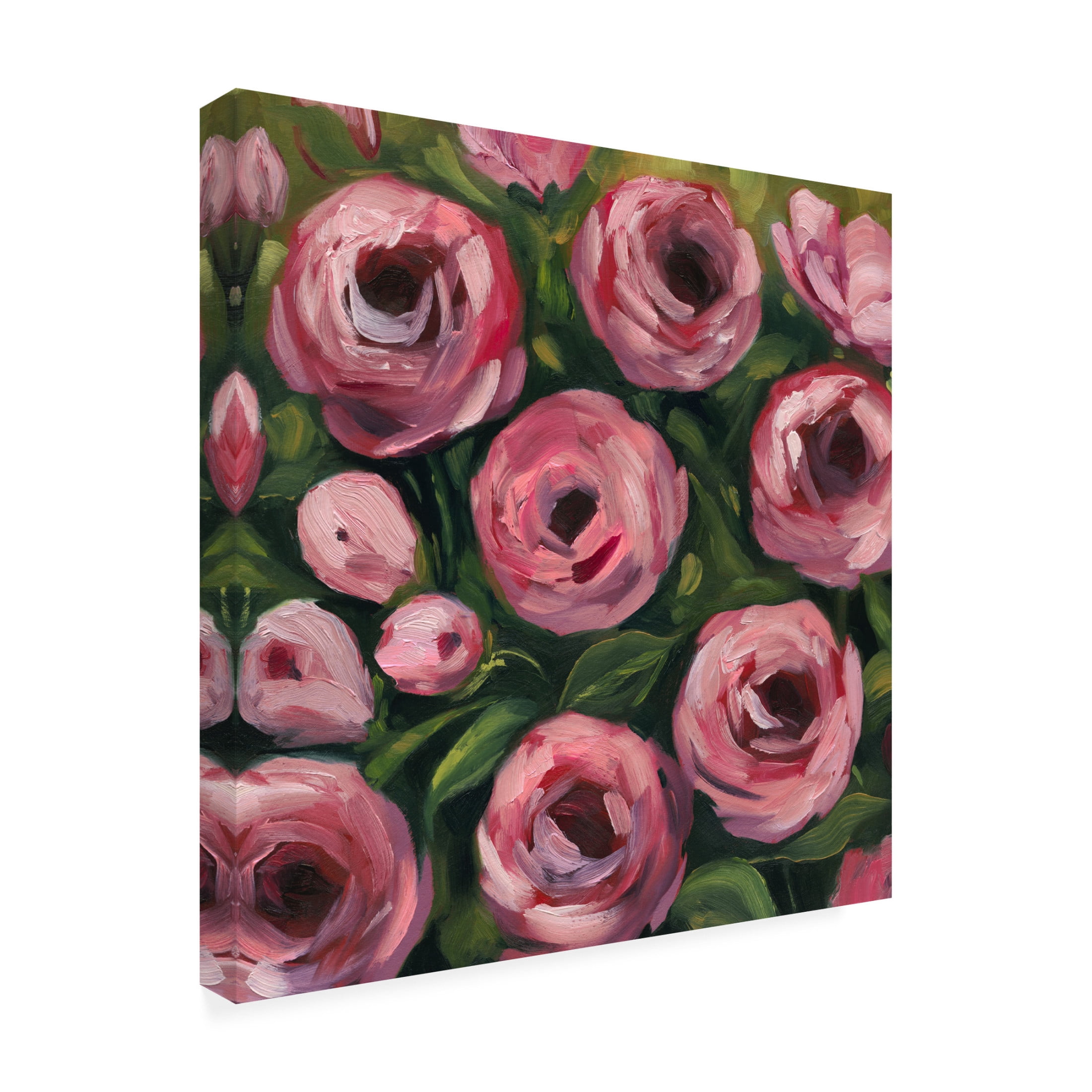 Trademark Fine Art Grace Popp Wiliest Roses I Canvas Wall Art