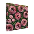 thumbnail image 2 of Trademark Fine Art Grace Popp Wiliest Roses I Canvas Wall Art, 2 of 4