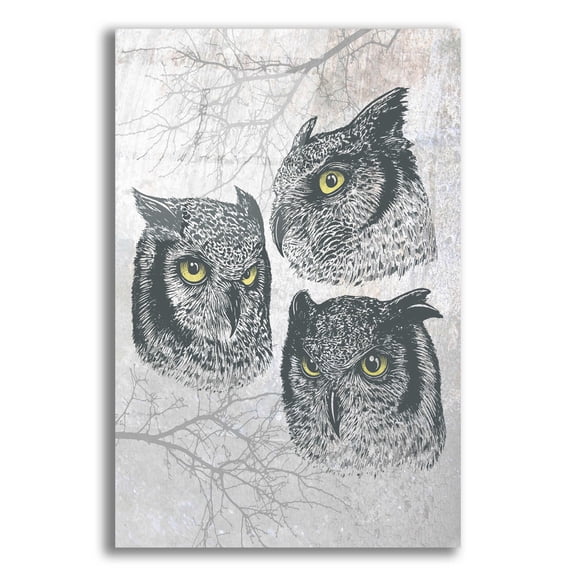 Epic Art 'Three Owls' by Rachel Caldwell, Acrylic Glass Wall Art, 12"x16"