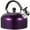 Purple, variant on Stainless Steel Whistling Tea Kettle with Cool Grip Handle - 3QT
