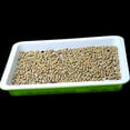 thumbnail image 5 of Seed Sprouter Tray With Lid Bpa Free Bean Sprout Grower Sprouting Seeds Tray,Dirt Free Way And Big, 5 of 5