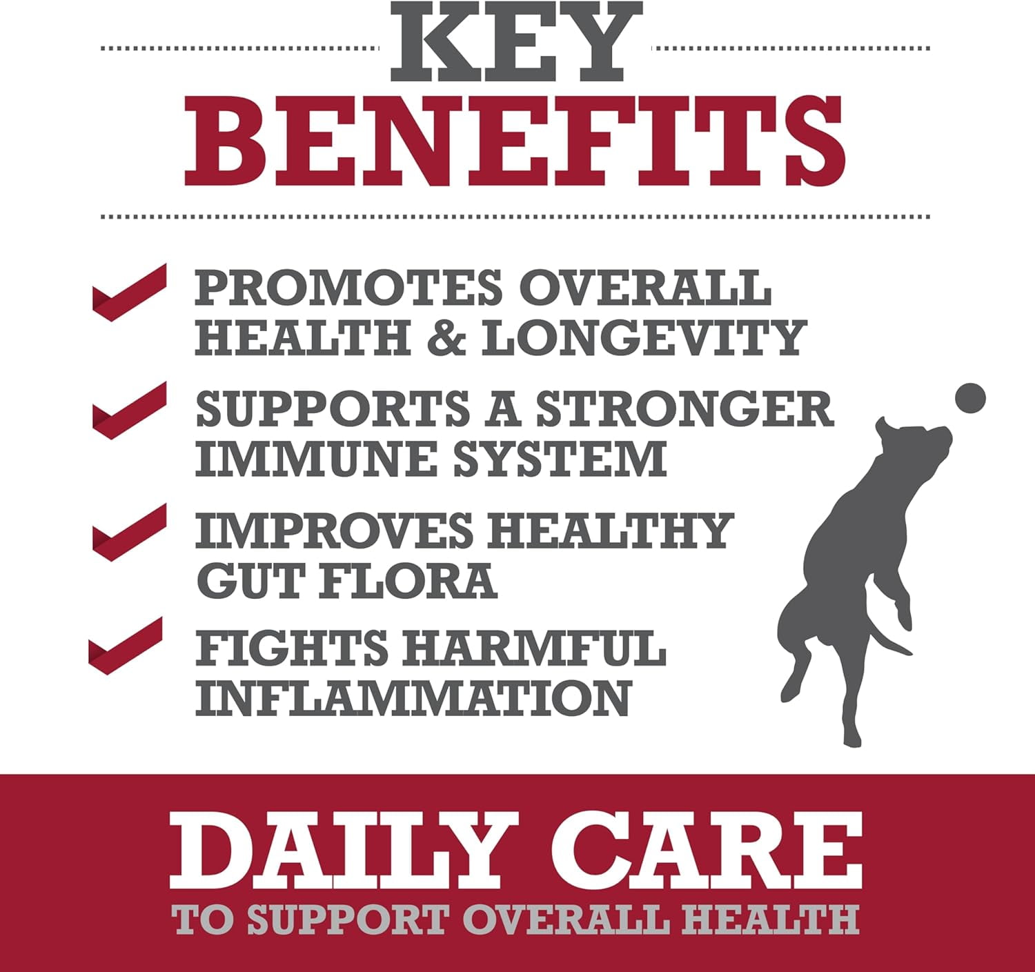 WINPRO Pet Daily Care Chews for Dogs, 60 Soft Chews, Plasma Powered, Grain Free Supplement for Dogs With Probiotics To Support A Healthy Immune System