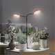 thumbnail image 4 of Grow Lights for Indoor Plant, 6000K Full Spectrum Plant Lights for Indoor Growing,3.5: LED Dual Rin, 4 of 4