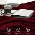 thumbnail image 4 of Homieway Large Burgundy Bed Blankets,Soft Twin Size Blanket for Sofa Couch, All Season Lightweight Microfiber Fluffy Flannel Fleece Throw Blanket,60" x 80", 4 of 6