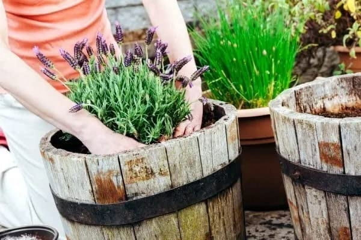 ⭐ Gardenera Labs Moisture Control Potting Mix - Keep Your Plants Happy and Hydrated! 💦🌸 - 10 QUART BAG