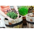 thumbnail image 6 of Gardenera Labs Organic Moisture Control Potting Mix - Absorbs 33% More Water Than Basic Potting Soil - 5 Quart, 6 of 7