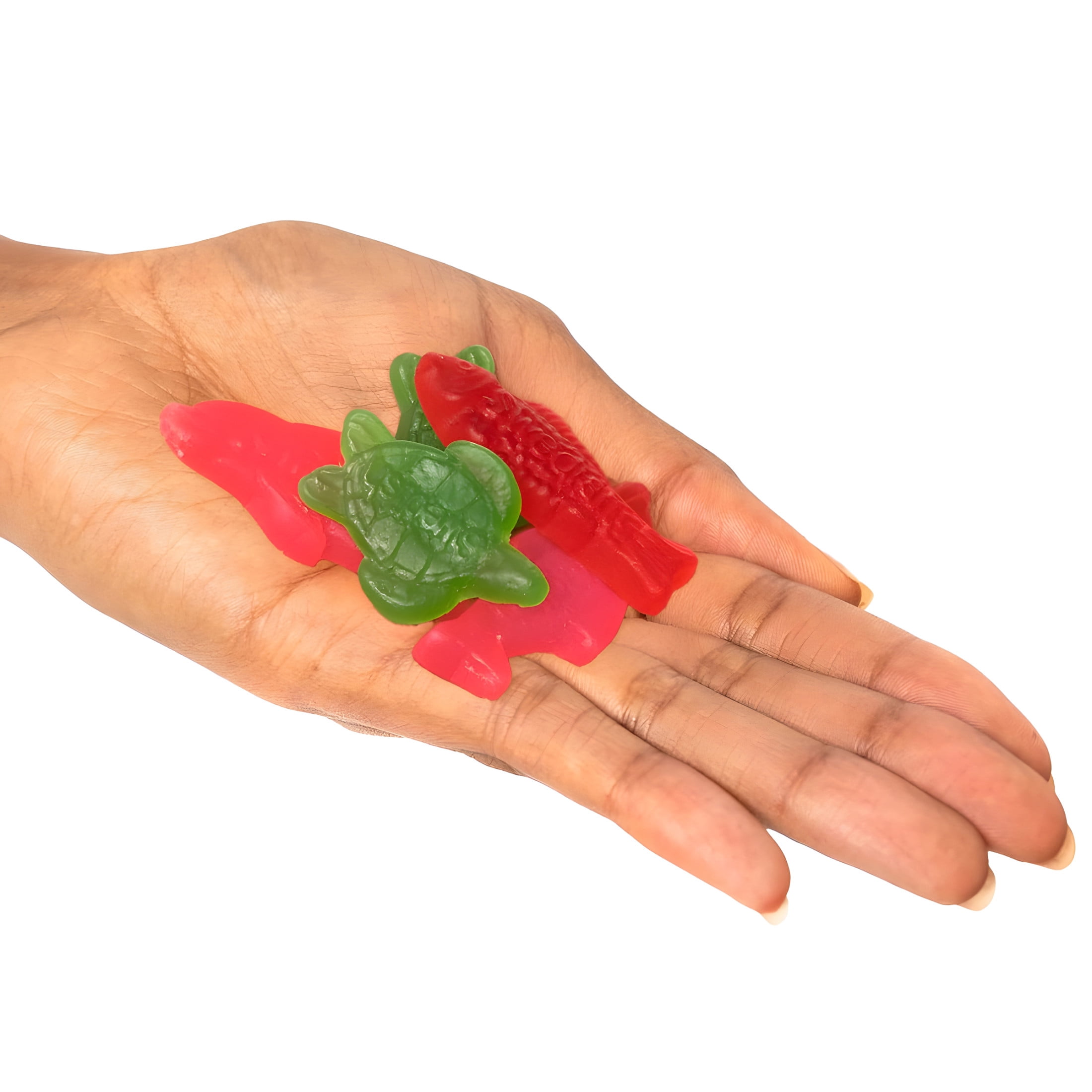 SWEDISH FISH and Friends Soft & Chewy Gummy Candy, 8.04 oz