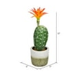 thumbnail image 3 of Vickerman FH192601 12 in. Green Potted Cactus Plastic Planter Pot, 3 of 3