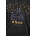 thumbnail image 4 of Star Wars Sweat à Capuche Homme 77 Darth Vader, 4 of 4