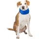 thumbnail image 5 of 1 x Pañuelo enfriador para perros, Collar enfriador para perros para mantener a su mascota fresca, Tamaño ajustable para perros y gatos (Azul), 5 of 5