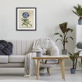 thumbnail image 3 of Stupell Industries Shabby Chic Natural Botany Daisy Black Framed Print Under Glass, 13 x 16, by Susan Arnot, 3 of 8