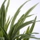 thumbnail image 4 of Pecera simulación plástico agua hierba acuario paisajismo plantas decoración Wdftyju  Libre de BPA, 4 of 5