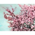 thumbnail image 2 of Telik, Tracey 14x12 Gold Ornate Wood Framed with Double Matting Museum Art Print Titled - Blossoming Spring, 2 of 4
