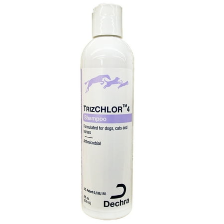 UPC: 0813471013956 | TrizCHLOR 4 Shampoo