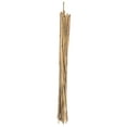 thumbnail image 2 of Expert Gardener Bamboo Plant Stakes, 5-Ft, Set of 12, Natural and Sustainable Garden Supports, 2 of 8