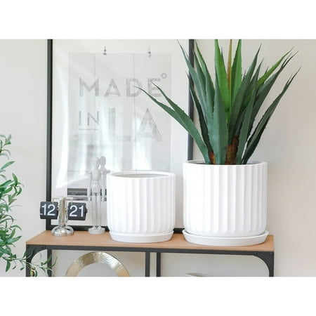 

Large Nordic Minimalist Fiberstone Lightweight Round Cylinder Planter Pot - 12 9 inch Matte Finish - Ficus Fiddle Fig