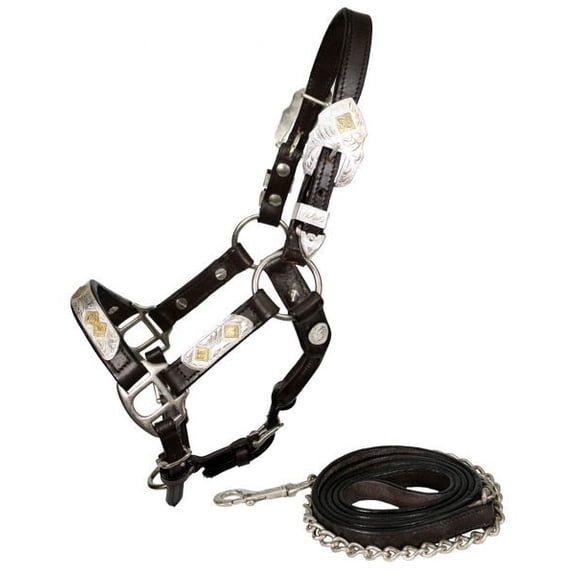 Showman Mini Size Leather Silver Show Halter