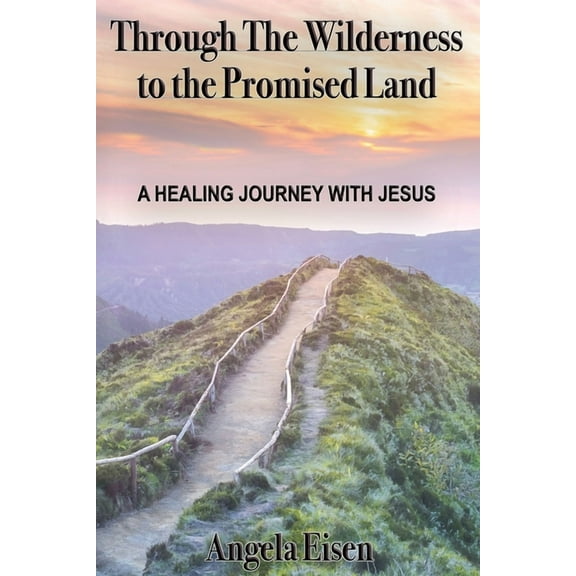 Through The Wilderness to the Promised Land : A healing journey with Jesus (Paperback)