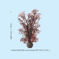 thumbnail image 3 of biOrb Small Crimson Sea Fan - Aquarium Plant Decoration, 3 of 9