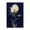 Rose Blossom Botanical, variant on Stupell Industries Victorian Hydrangea on Black Canvas Art, 16 x 20, by Danhui Nai