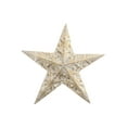 thumbnail image 1 of Gold Metal Embossed Star Decor (11.8"), 1 of 3