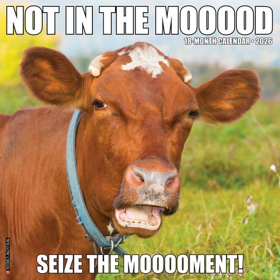 Not in the Mooood 2026 Wall Calendar, (Paperback)