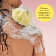 thumbnail image 4 of Bodycology Tropical Tease 2-in-1 Body Wash & Bubble Bath, 16 fl oz, 4 of 8