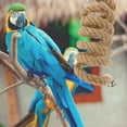 thumbnail image 6 of Hanging Rope Toy Parrot Perches for Bird Cages Accessories Spiral Metal Fittings, 6 of 12