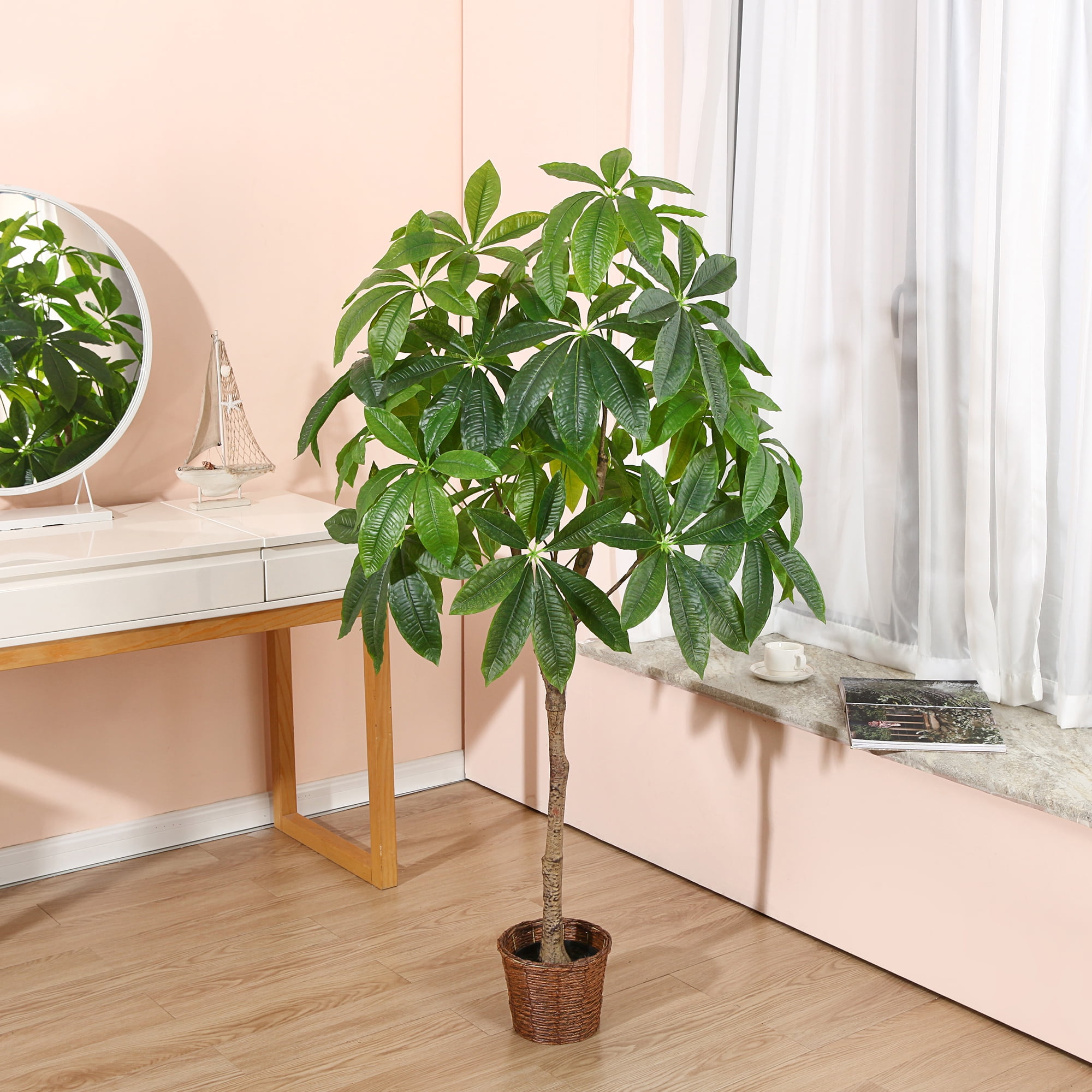 monstera subpinnata Monstera subpinnata