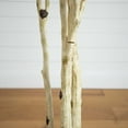 thumbnail image 5 of Nearly Natural Potted Artificial Birch Tree - 9' - Unlit, 5 of 8