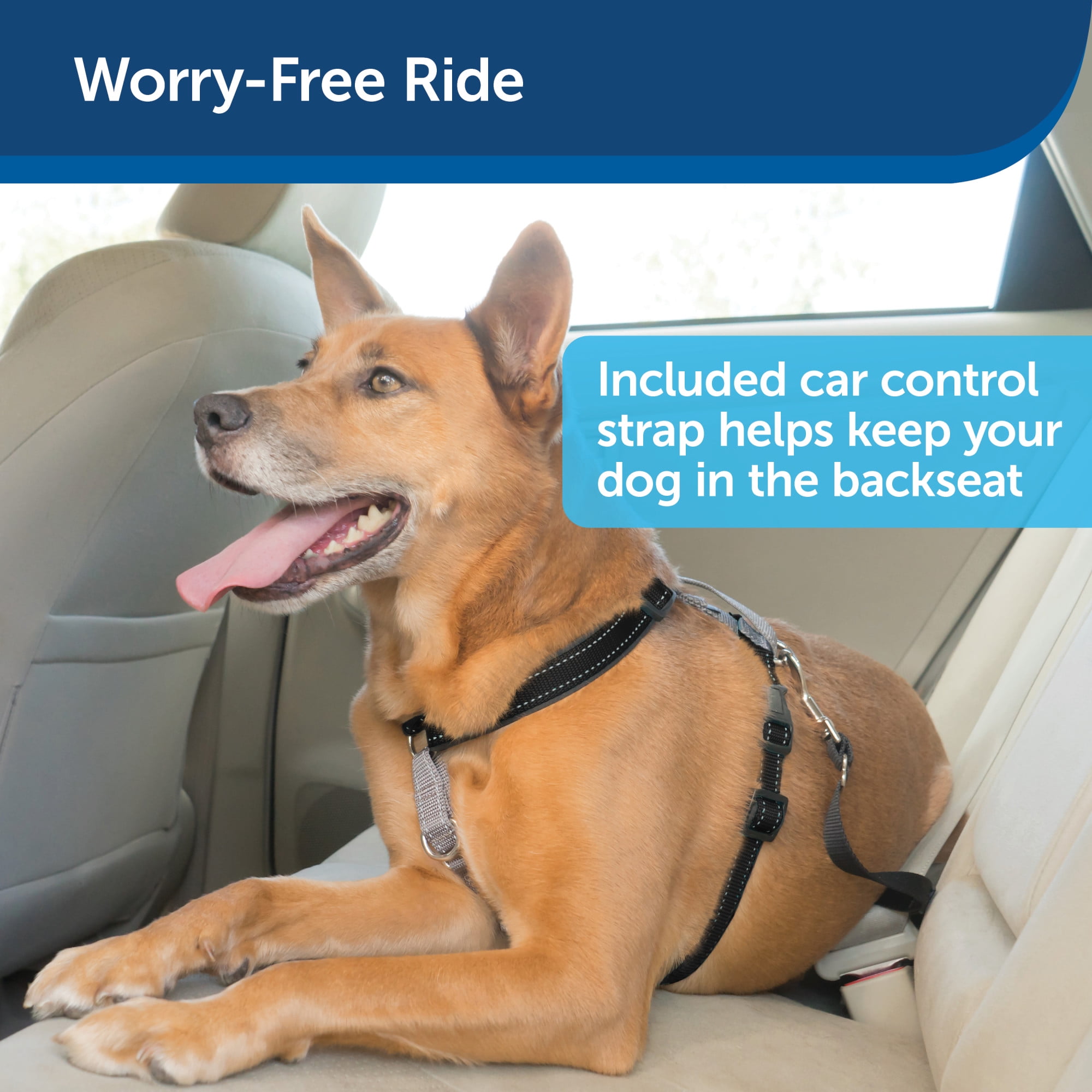 PetSafe® 3 in 1 Harness with Two Point Control Leash, Medium, Black