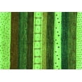 thumbnail image 1 of Ahgly Company Indoor Rectangle Abstract Green Contemporary Area Rugs, 4' x 6', 1 of 1