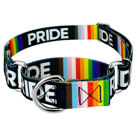 Country Brook Petz® Pride Martingale Dog Collar, Extra Large