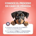 thumbnail image 4 of Lector de Microchip para Mascotas para Perros y Gatos, 4 of 5