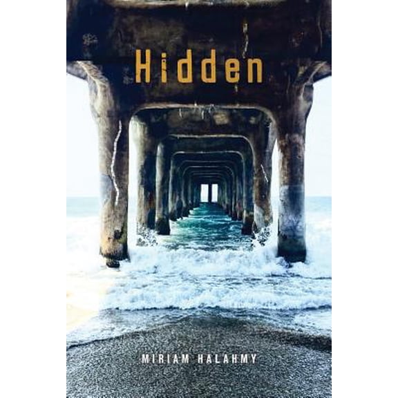 Pre-Owned Hidden (Hardcover) 0823436942 9780823436941