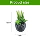 thumbnail image 2 of Flores artificiales, suculentas artificiales, plantas combinadas en macetas, decoraciones para el hogar, plantas verdes artificiales, 2 of 5