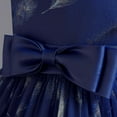 thumbnail image 2 of LOVZFMLL Girls' Summer Short Sleeve Ruffled Lace Round-Neck Embroidery Mesh Princess Bow Skirt, 2 of 3