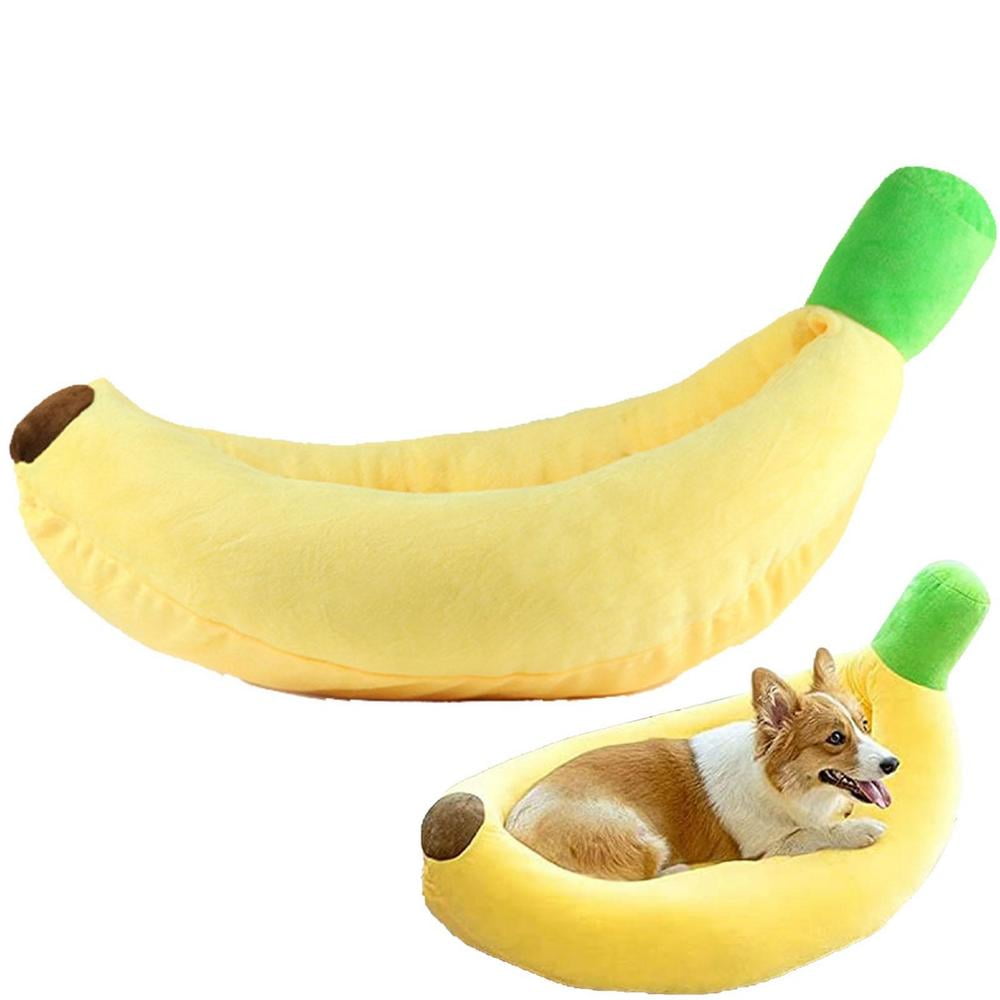 Are Bananas Good For Dogs And Cats