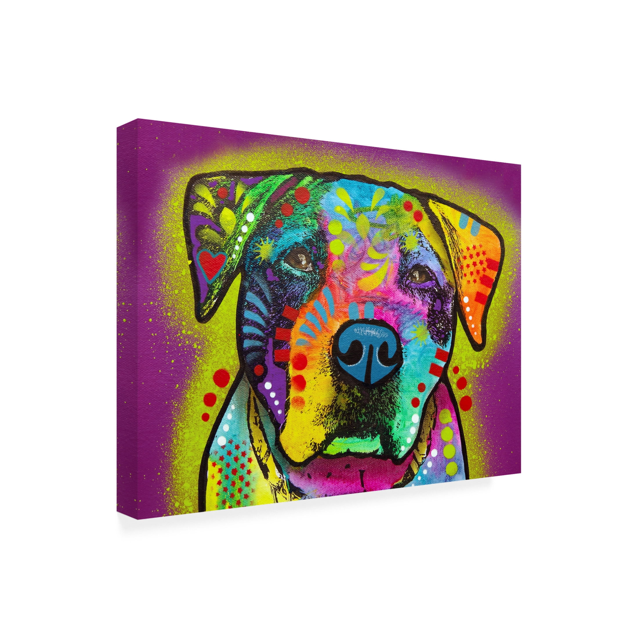 Canvas Wall Art - Dean Russo 'Tatter' Wall Art for Living Room, Bedroom, or Office Décor by Trademark Fine Art - 47 x 35 Inches