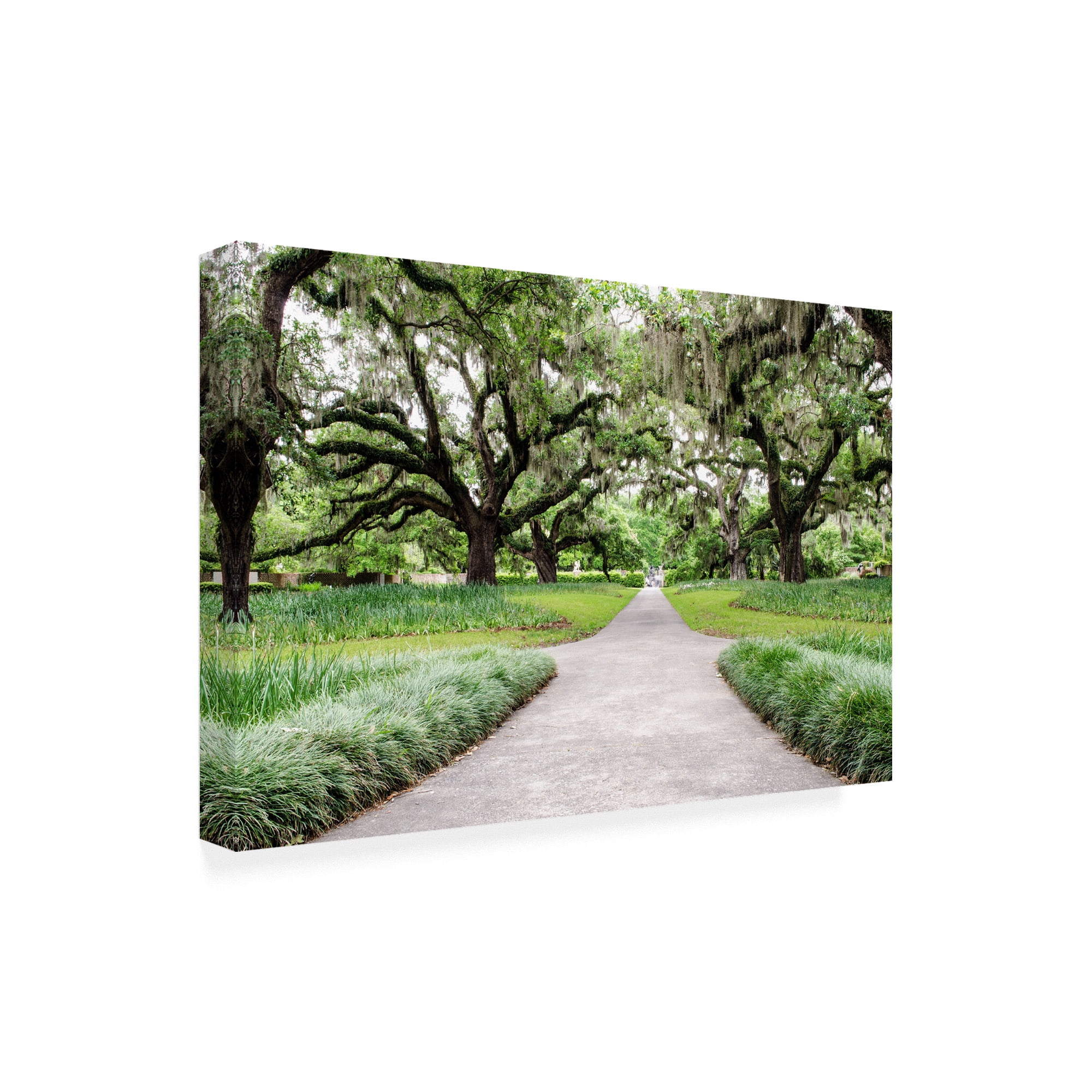 Trademark Fine Art 'Garden Entrance' Canvas Art by Chuck Burdic