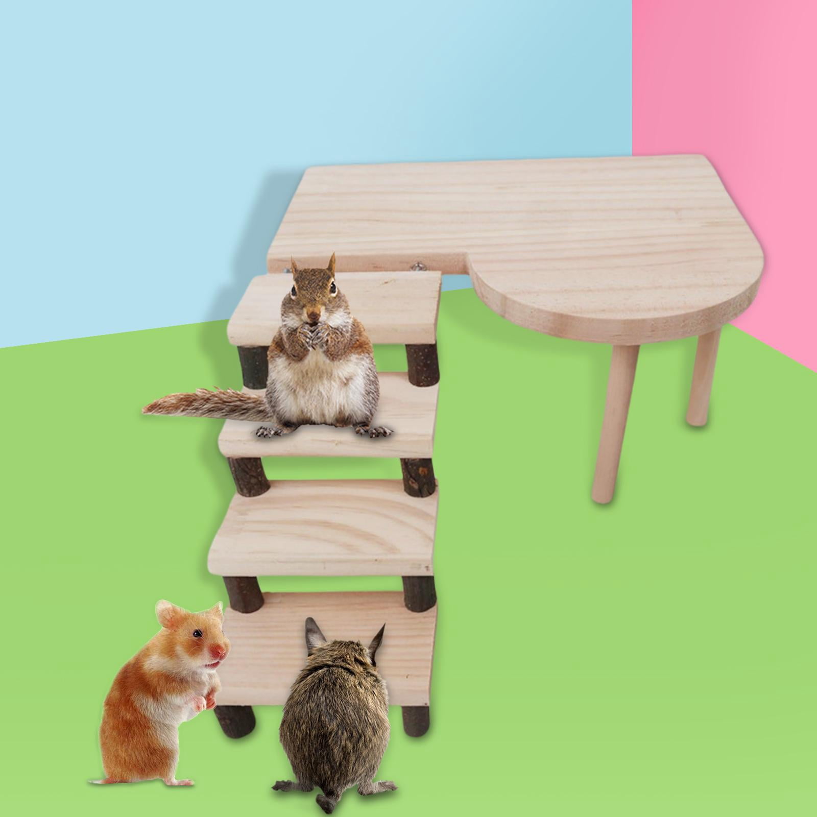 EHJRE Two Layers Hamster Platform with Climbing Ladder Cage Accessories Pine Toys Bridge Climbing Kits for Small Animal Parrot Rat Parakeet Gerbil